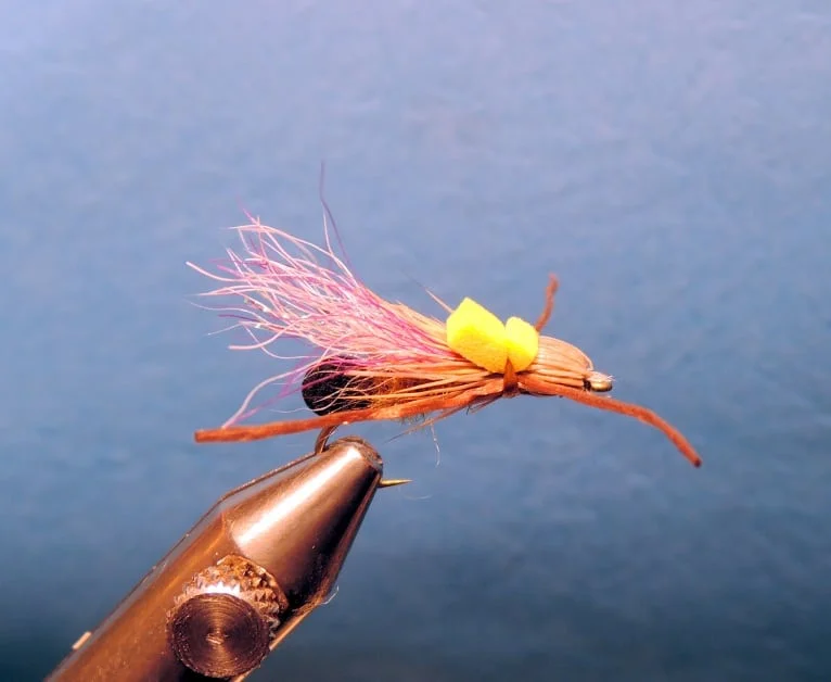 Skwala Stonefly | www.johnkreft.com