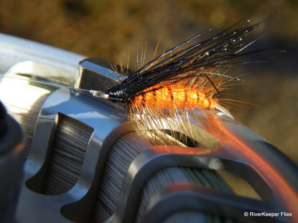 October Caddis|www.johnkreft.com