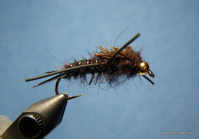 Kaufmanns Stonefly | www.johnkreft.com