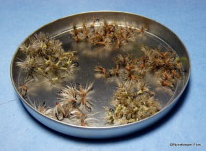 Plate of flies | www.johnkreft.com