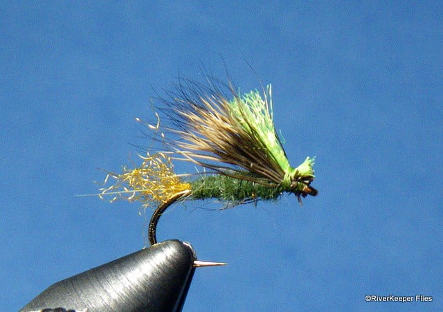 X Caddis | www.johnkreft.com