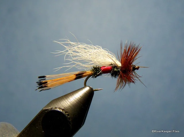 Royal Coachman Trude | www.johnkreft.com