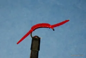 San Juan Worm | www.johnkreft.com