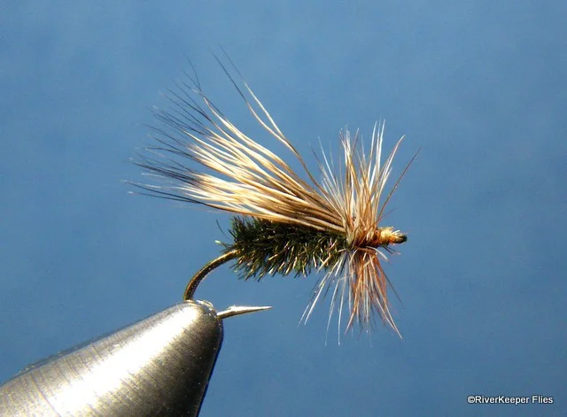 Peacock Caddis | www.johnkreft.com