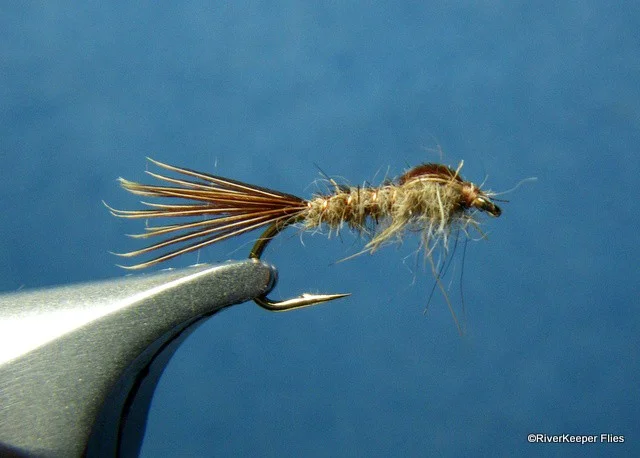 Skip Nymph | www.johnkreft.com