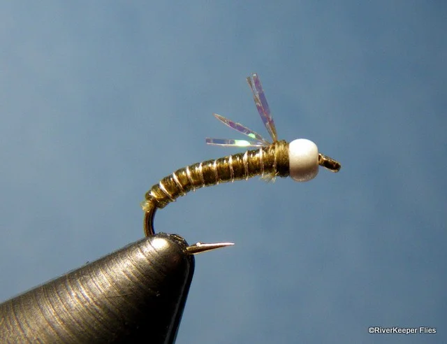 Zebra Midge - Wing | www.johnkreft.com
