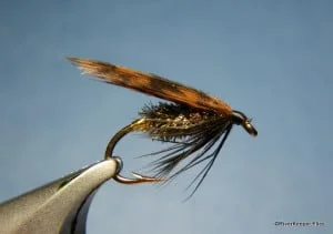 Alder Fly | www.johnkreft.com