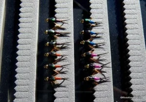 Copper John Rainbows | www.johnkreft.com