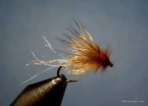 LaFontaine Emergent Pupa | www.johnkreft.com