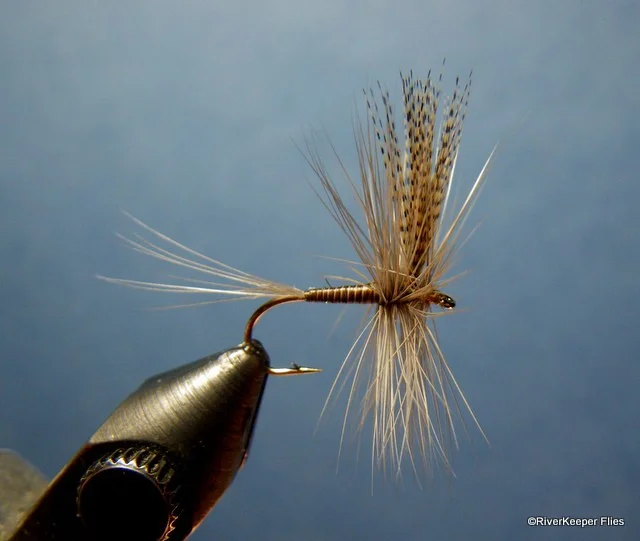 Quill Gordon | www.johnkreft.com