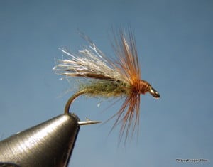 LaFontaine Diving Caddis