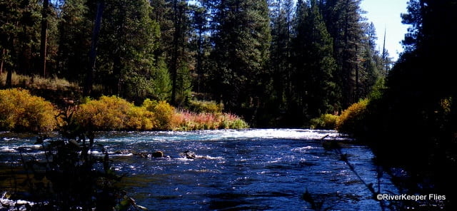 Metolius - Fall Foilage | www.johnkreft.com