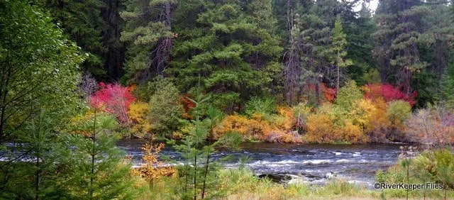 Metolius - Fall Foilage | www.johnkreft.com