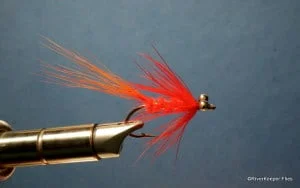 Orange Comet | www.johnkreft.com
