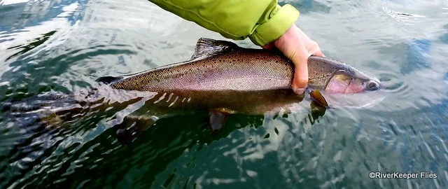 Diamond Lake 23 Inch Rainbow | www.johnkreft.com