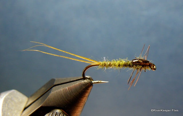 Janssen Damsel Nymph | www.johnkreft.com