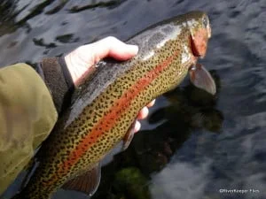 Metolius Rainbow | www.johnkreft.com