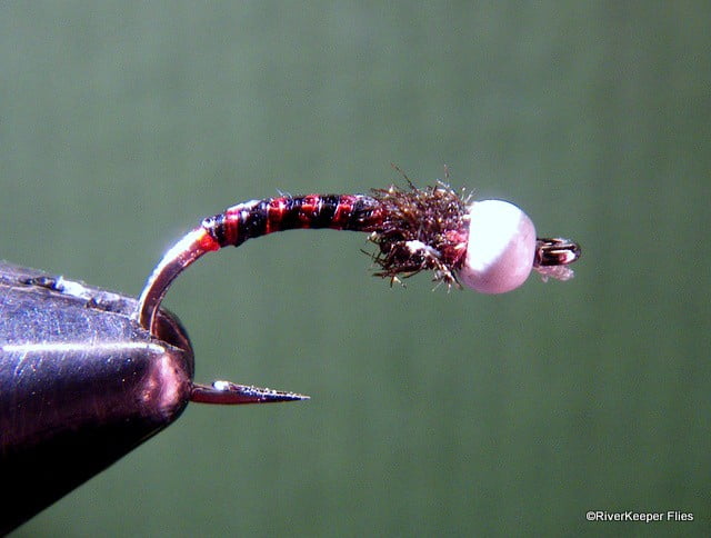 East Lake Chironomid | www.johnkreft.com