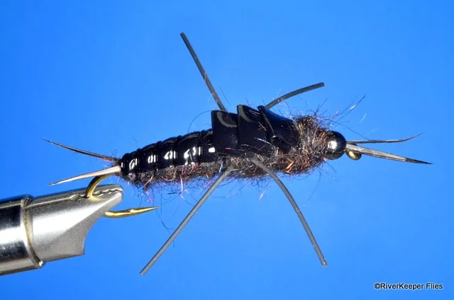 RiverKeeper Stonefly Nymph | www.johnkreft.com