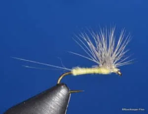 Quigleys PMD Hackle Stacker | www.johnkreft.com