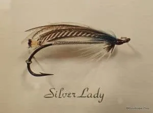 Silver Lady | www.johnkreft.com