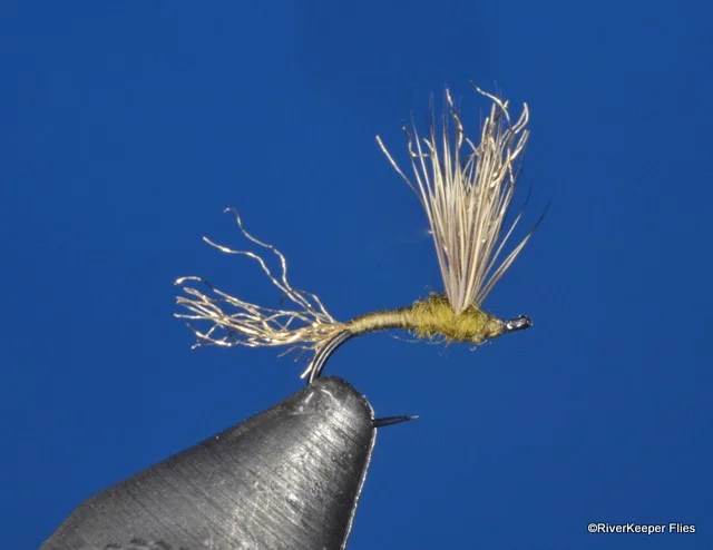 Improved Sparkle Dun BWO | www.johnkreft.com