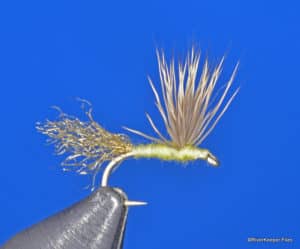 Sparkle Dun Mayfly