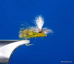 Lawsons E-Z Caddis | www.johnkreft.com