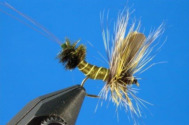 Lempke Extended Body Green Drake - Courtesy www.fliesfliesflies.com