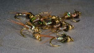 Nymphs for a Well Stocked Fly Box