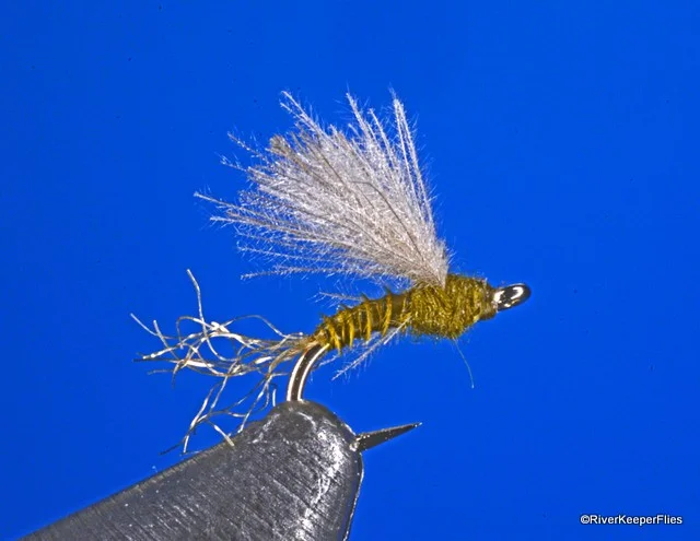BWO CDC & Biot | www.johnkreft.com