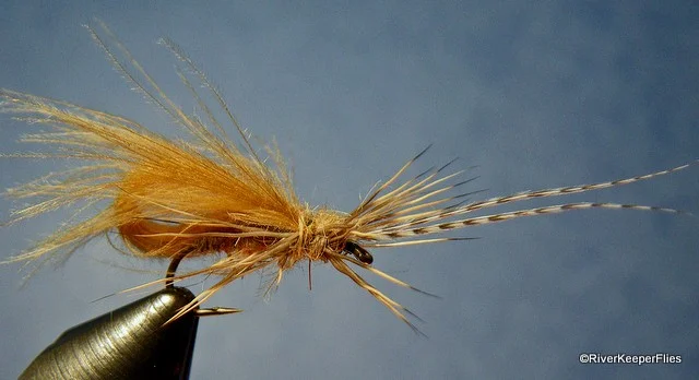 McPhail CDC Bubble Caddis Closeup | www.johnkreft.com