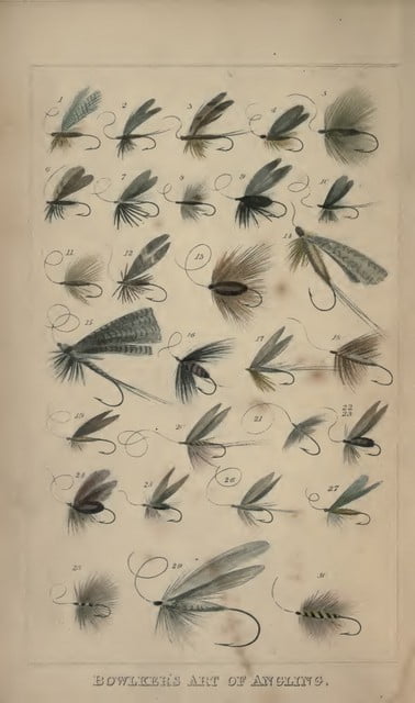 Bowlker's Art of Angling Fly Plate | www.johnkreft.com