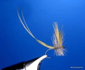 Hatchmaster Green Drake | www.johnkreft.com