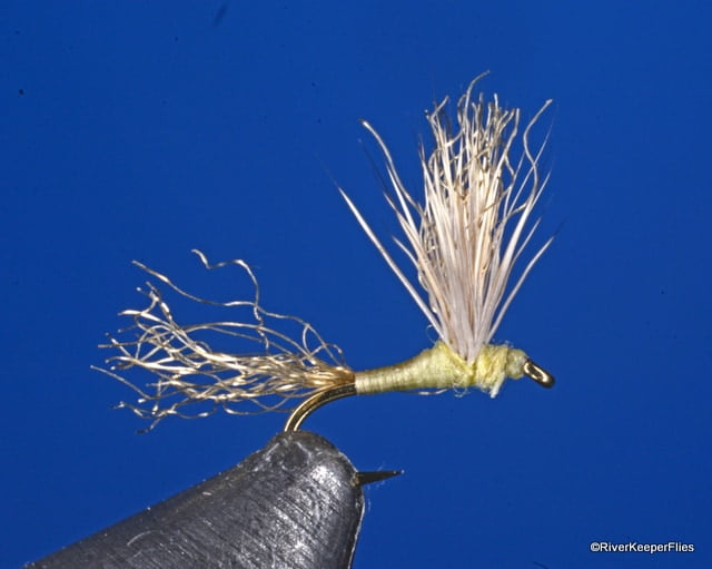 Improved Sparkle Dun - PMD | www.johnkreft.com