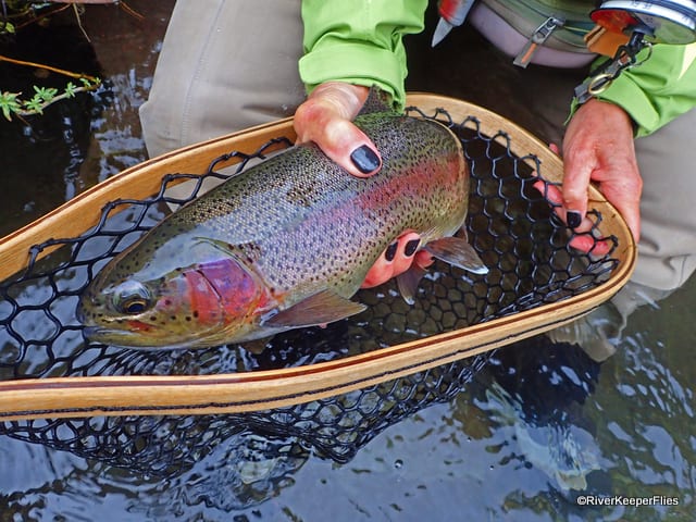 The Perfect Fishing Net - RiverKeeper Flies