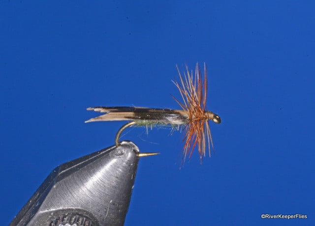 Kings River Caddis | www.johnkreft.com