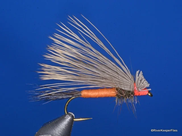 Patient Angler Stone | www.johnkreft.com