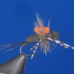 Beetle Bailey | www.johnkreft.com