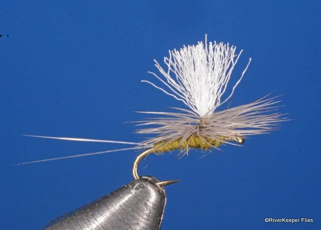 Blue Wing Olive | www.johnkreft.com