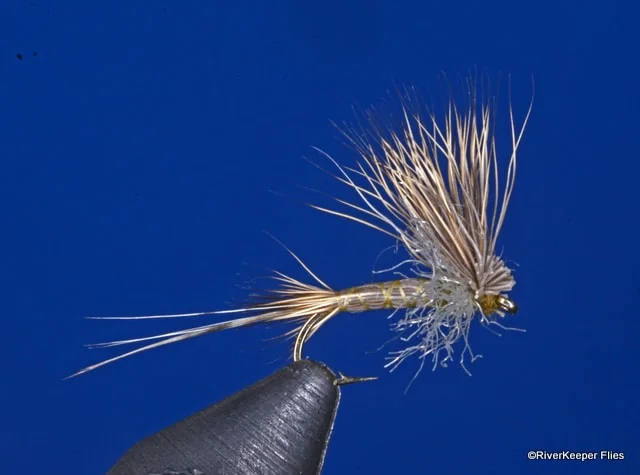 Galloup's Compara Spinner | www.johnkreft.com