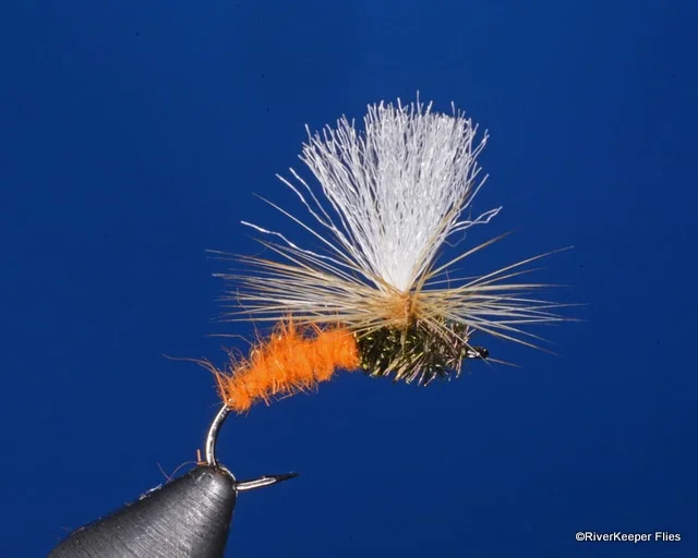 Amber Caddis Klinkhamer Variant | www.johnkreft.com