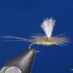 Parachute PMD Dry Fly | www.johnkreft.com