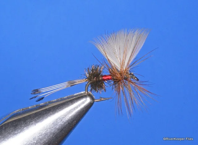 Fan Wing Royal Coachman | www.johnkreft.com