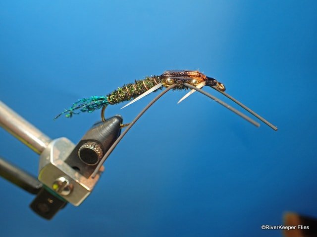 Double Bead Peacock Stonefly Nymph | www.johnkreft.com