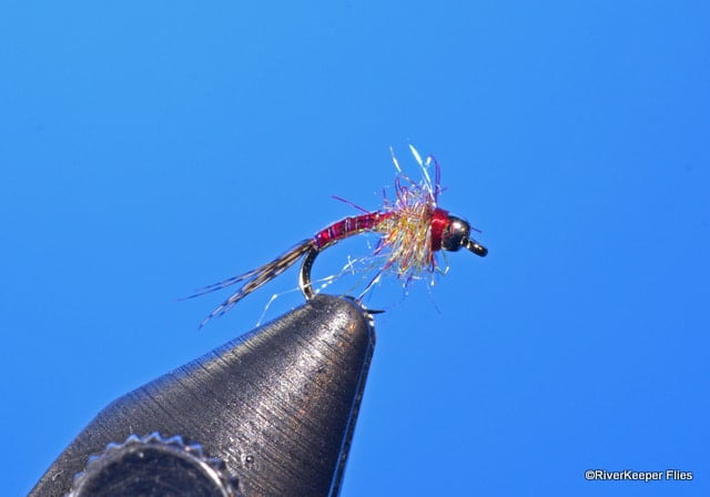 Rainbow Warrior - RiverKeeper Flies