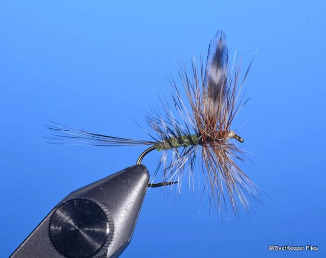 adams fly fishing lure Parachute and blended grizzly/brown hackle Adams Superfly - Dry Fly