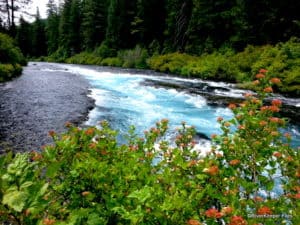 Metolius River at Hatchery | www.johnkreft.com