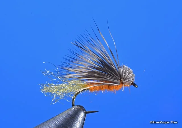 X Caddis - Amber | www.johnkreft.com