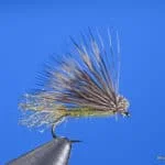 X Caddis - Olive | www.johnkreft.com
